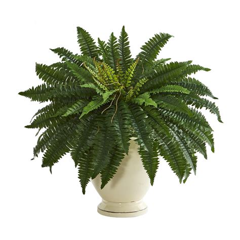 Artificial ferns hobby lobby. Things To Know About Artificial ferns hobby lobby. 
